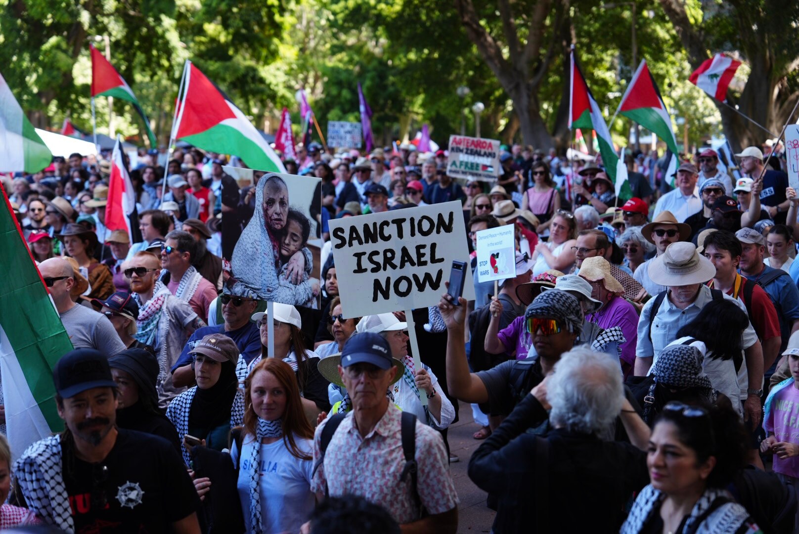 Pro-Palestinian protesters gather in Sydney's Hyde Park with flags and signs