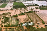 Aerial shot of trees and farms in floodwater stretching to the horizon from the overflowing banks of a muddy brown river.