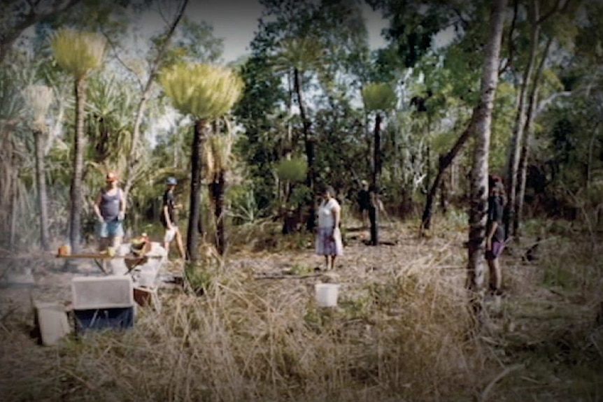 The Pangquee's camp near Woodycupaldiya in 1990