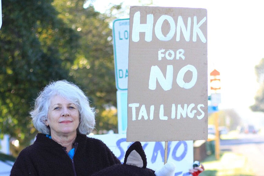 A woman in a cow suit, holding a sign that says 'no tailings'