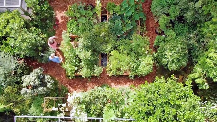 Top view of garden filled with a maze of productive food plants
