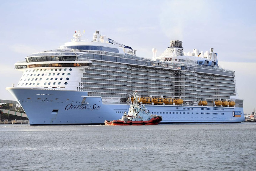 A cruise liner docks at a port.