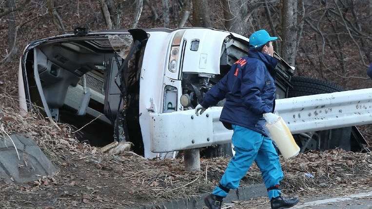 Fourteen people killed in bus crash in Japan