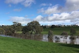 An overflowing Yass River in September 2016.