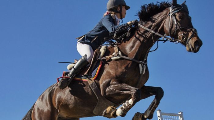 young girl on a horse competing in the equestrian event of show jumping, captured mid air while performing a jump