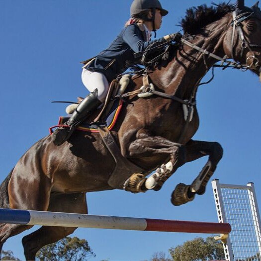 young girl on a horse competing in the equestrian event of show jumping, captured mid air while performing a jump