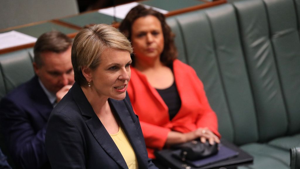 Plibersek: We Will Restore Every Funding Dollar Cut From Education ...