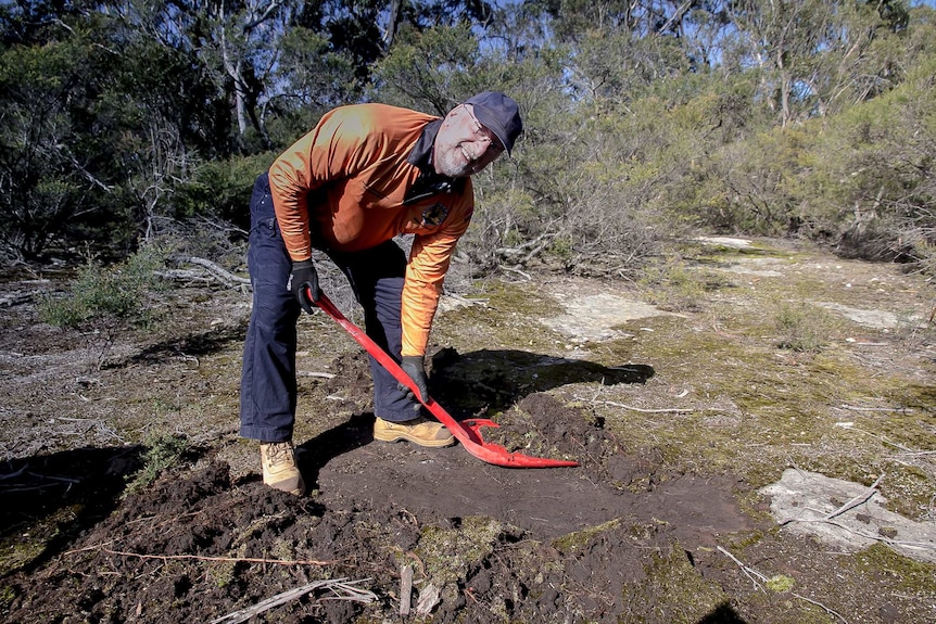 A man bending over with a shovel of dirt in a bush setting