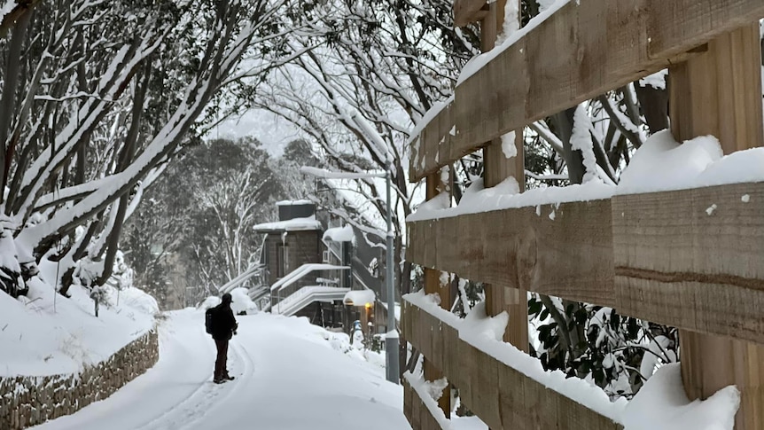 A person wearing thick, long clothing stands among snow covered trees on snow covered road at a ski village.