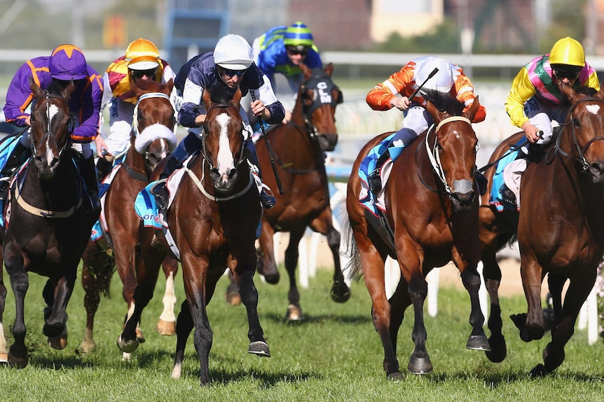 Sea Moon wins Herbert Power Stakes