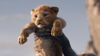 A still from the Lion King remake.