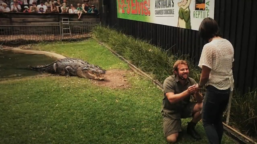 Reptile handler proposes marriage inside crocodile enclosure
