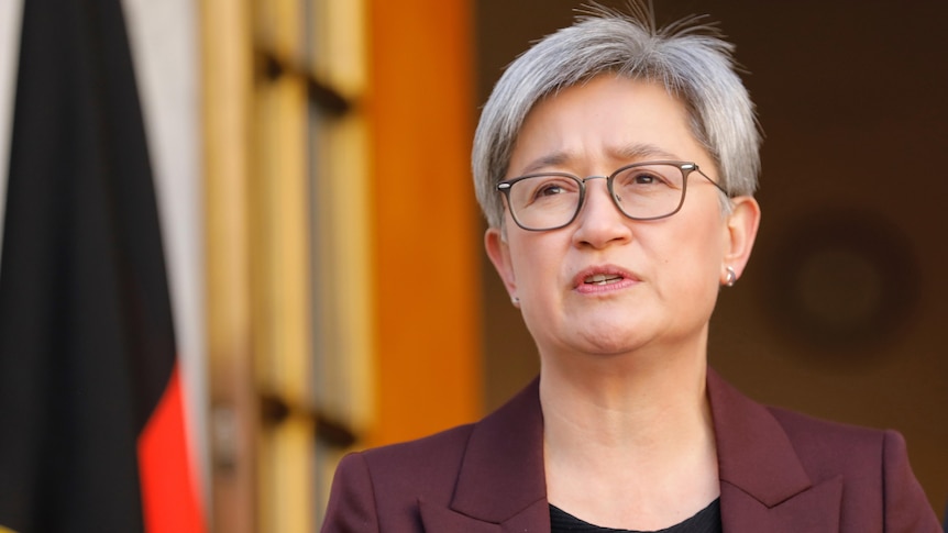 A close shot of Wong, wearing glasses and speaking, inside parliament house.
