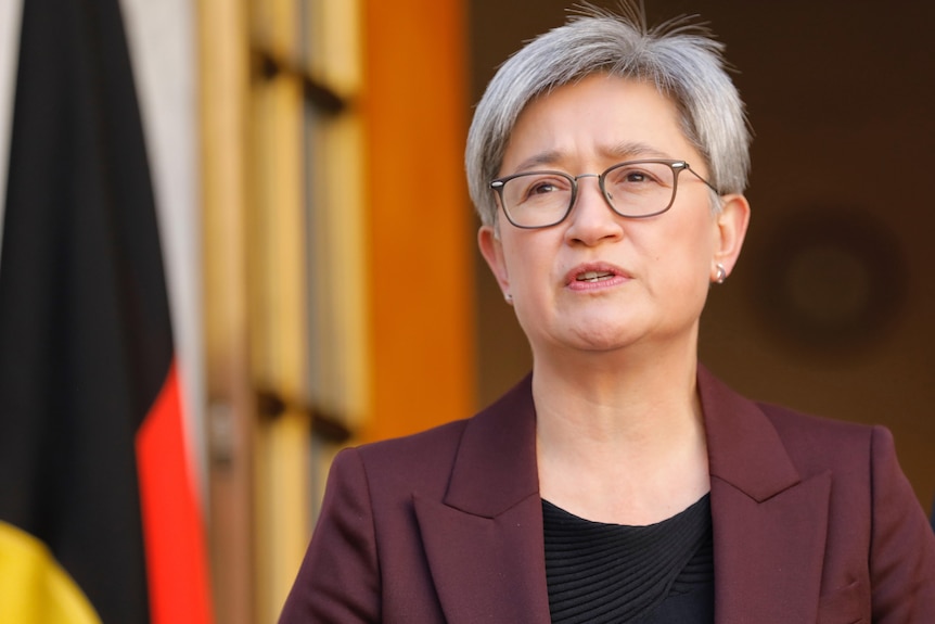 A close shot of Wong, wearing glasses and speaking, inside parliament house.