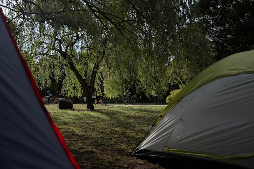 two tents in the foreground with a tree and grass in the background.
