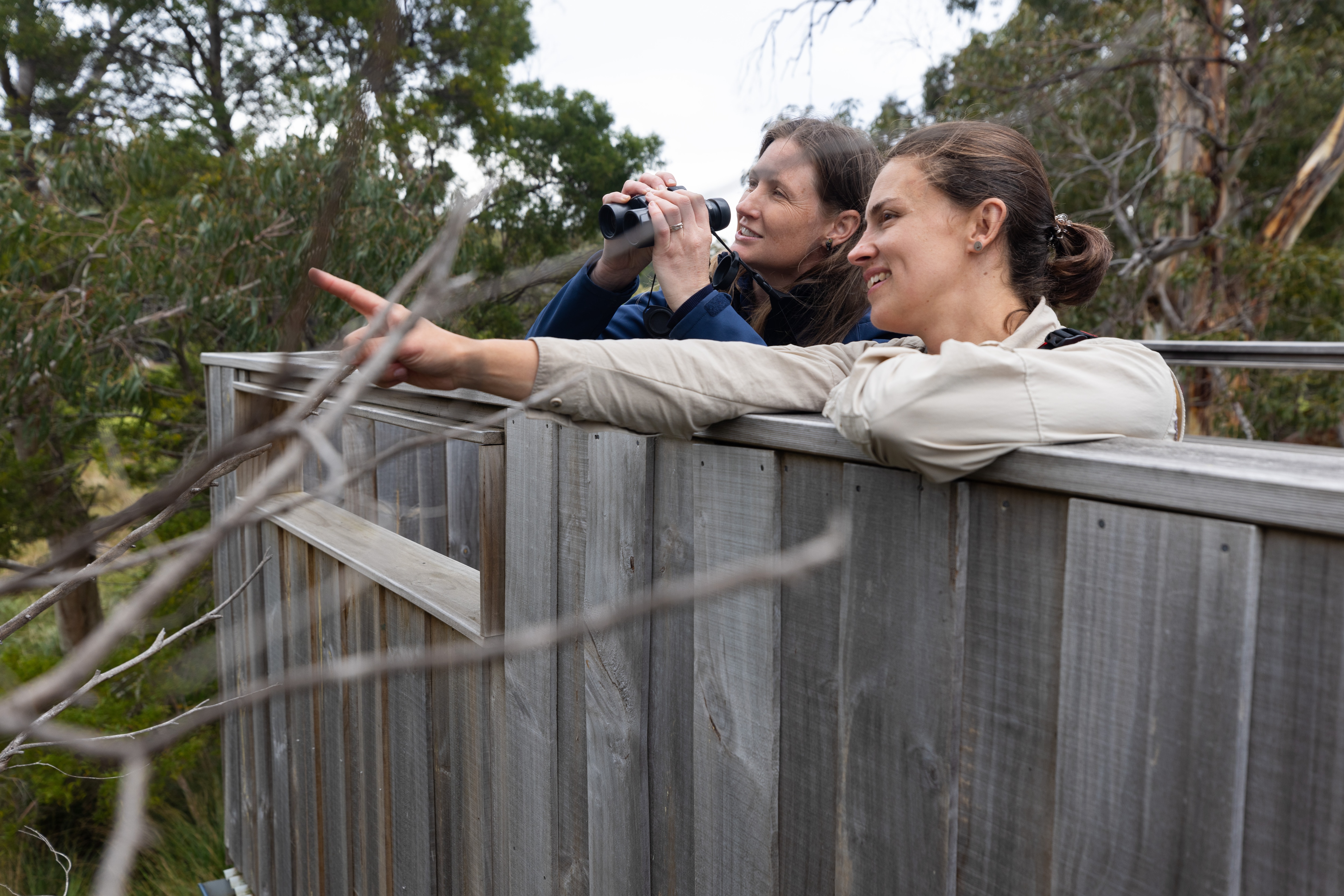 Dos mujeres en un escondite de pájaros buscando pájaros.