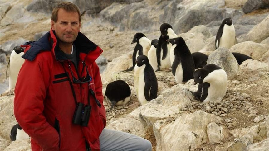 Yan Ropert-Coudert, penguin researcher with penguins.