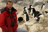 Yan Ropert-Coudert, penguin researcher with penguins.