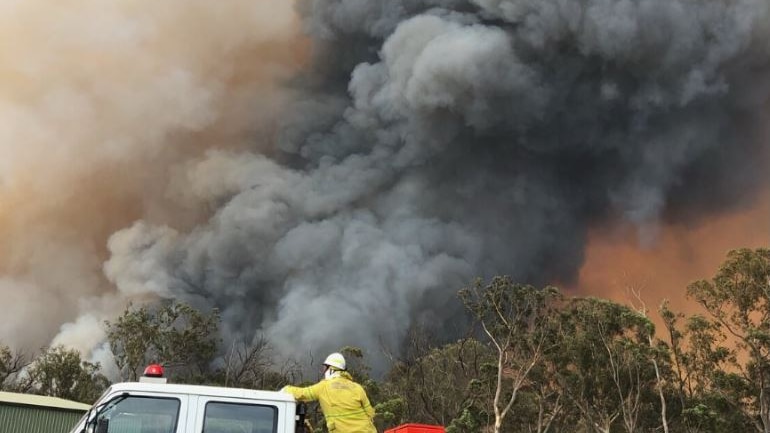 A firefighter stands at a car in front of a large plume of smoke from a bushfire.