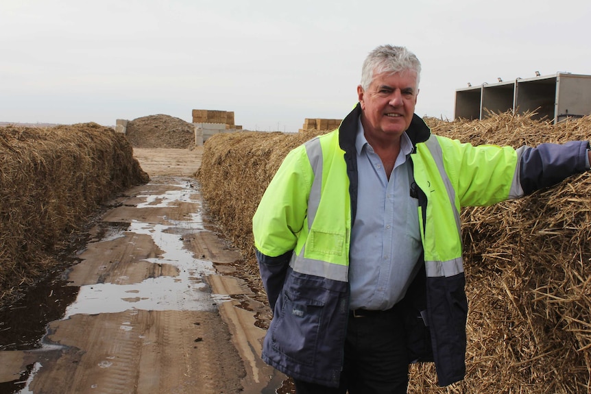 Phil Rogers standing in between rows of hay.