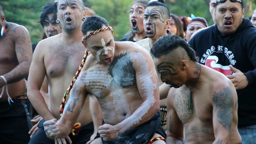 Tattooed, bare chested Aboriginal and Maori dancers performing together.