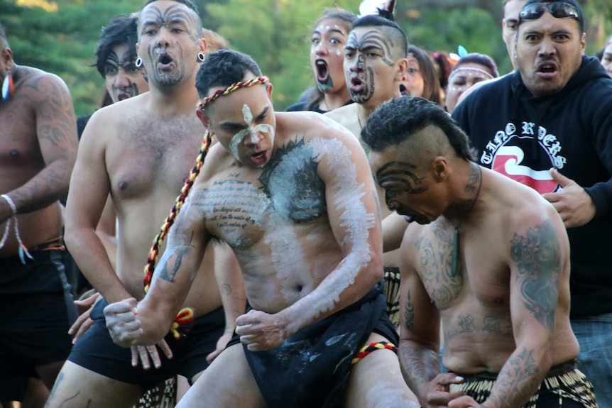 Tattooed, bare chested Aboriginal and Maori dancers performing together.