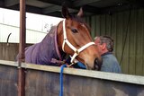 The Cleaner comes home after Cox Plate run