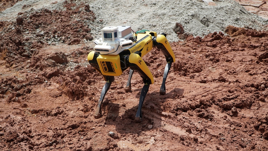 Robot dog waking across dirt and gravel.