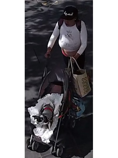 A woman pushing a dog in a pram