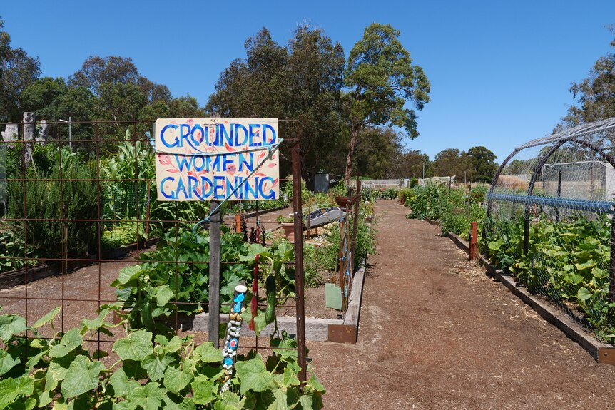 A green community garden with a sign that says 'Grounded Women Gardening'.
