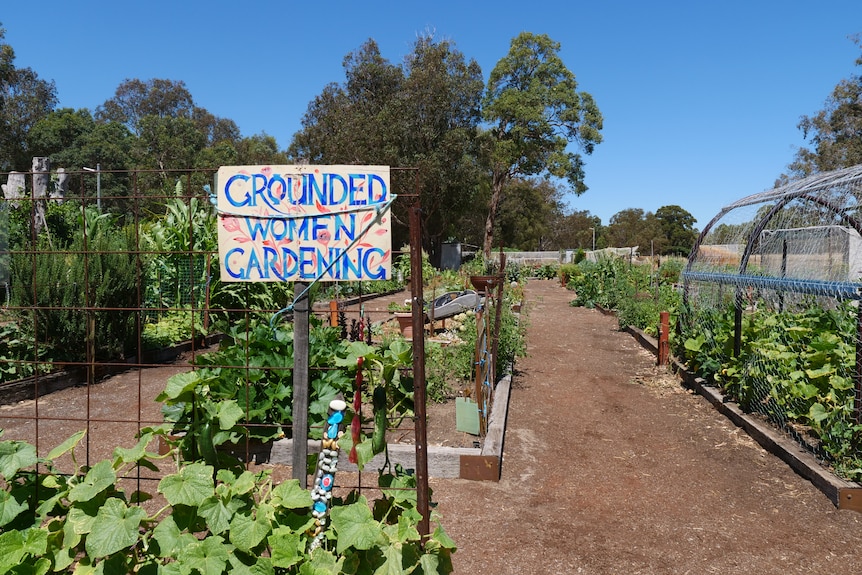 A green community garden with a sign that says 'Grounded Women Gardening'.