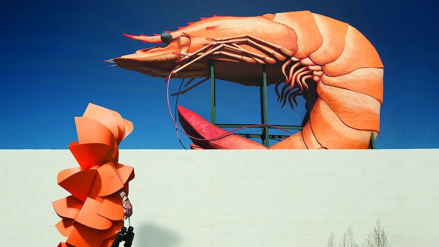 A photograph of a person in prawn costume looking at a giant prawn