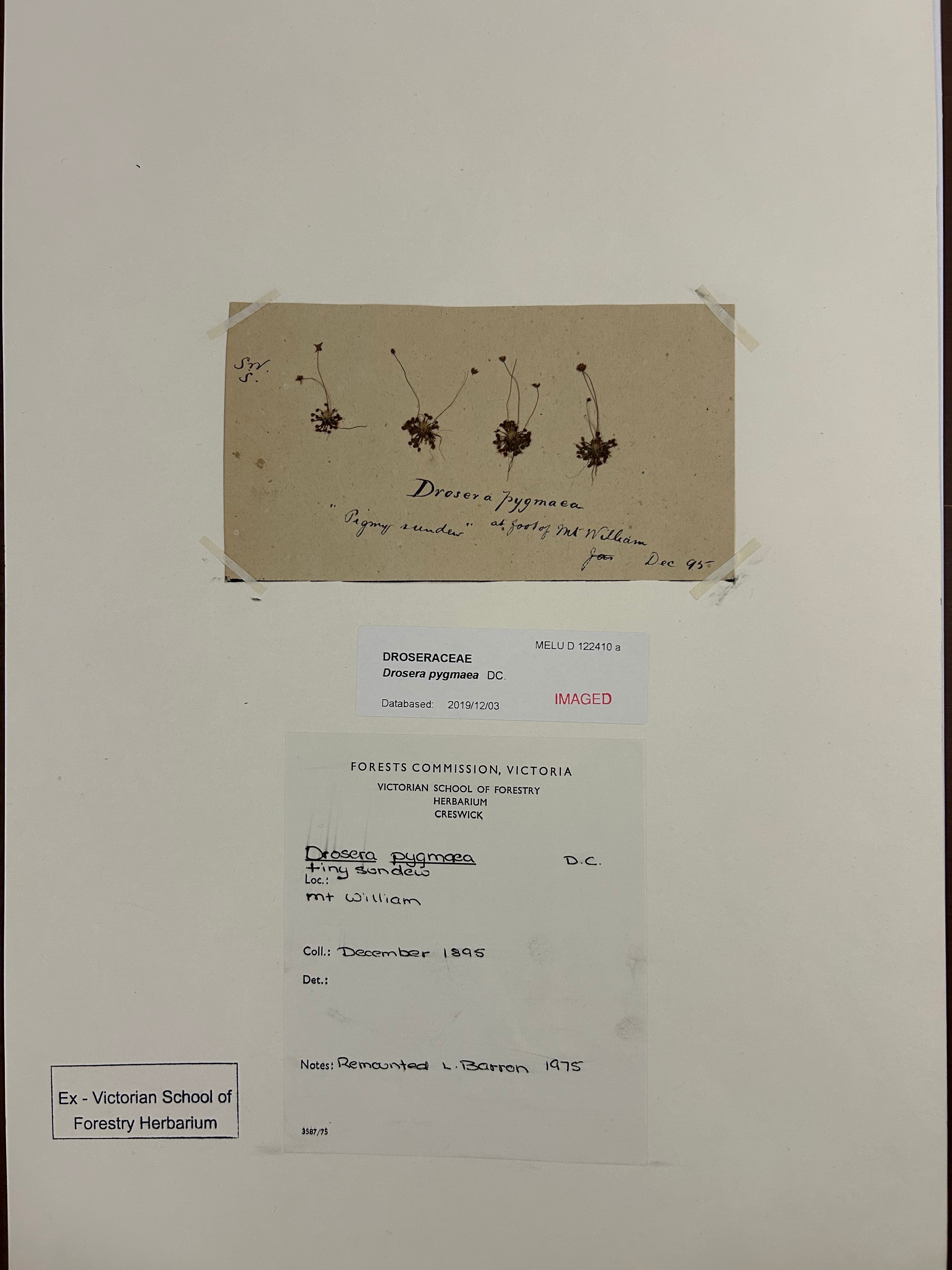 Plants that trap insects episode artwork