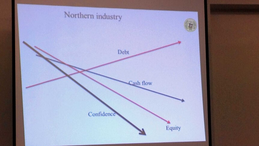 Graphing confidence in the NT cattle market