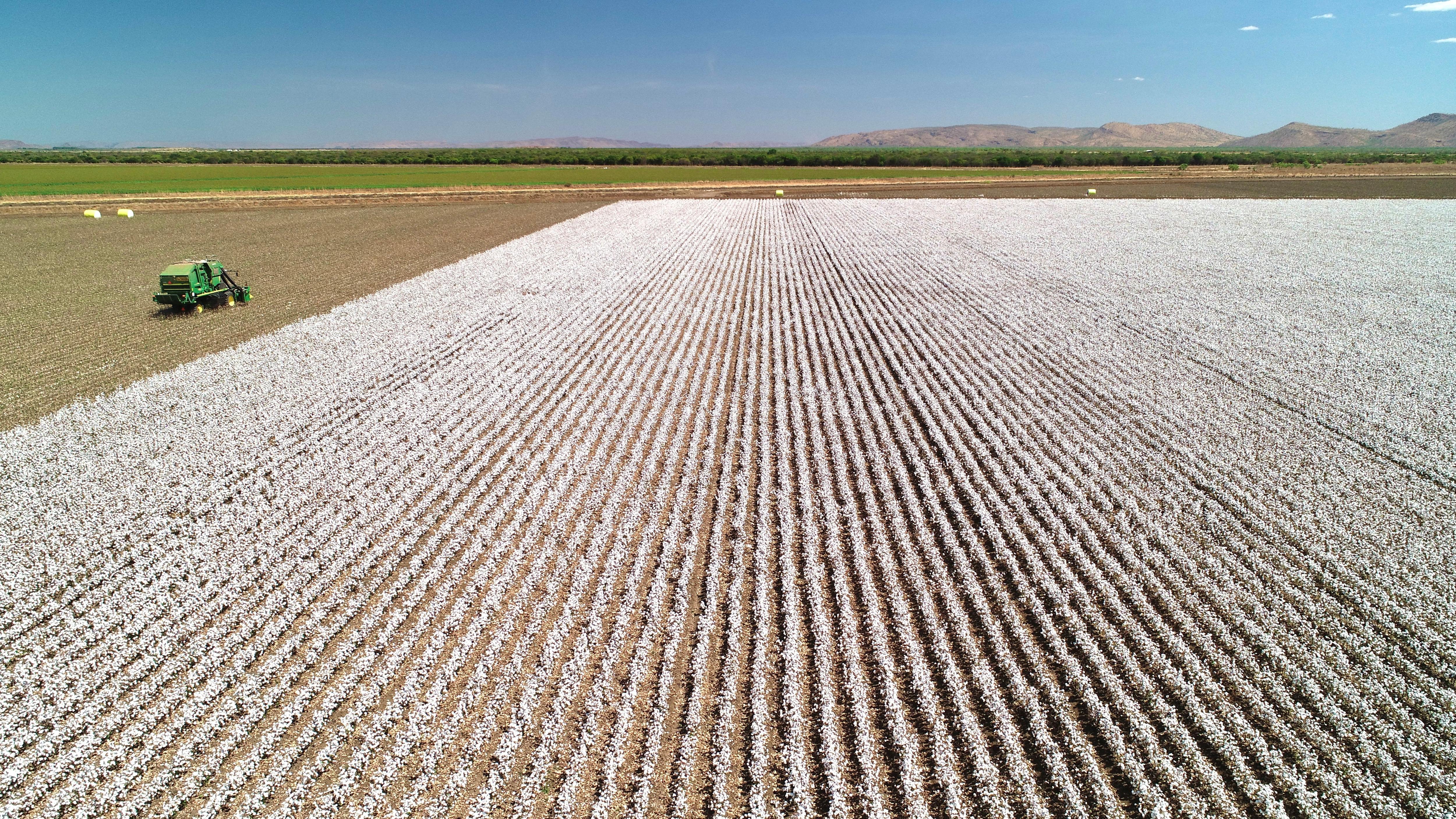 Kimberley farmers Ord Stage 3 goahead and expansion of irrigation scheme across the NT