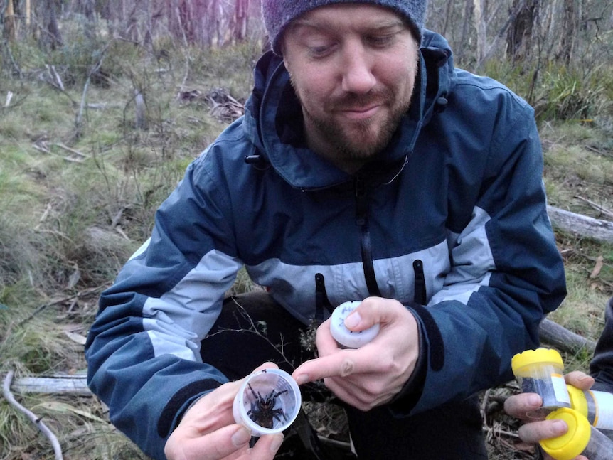 ANU biologist Dr Thomas Wallenius