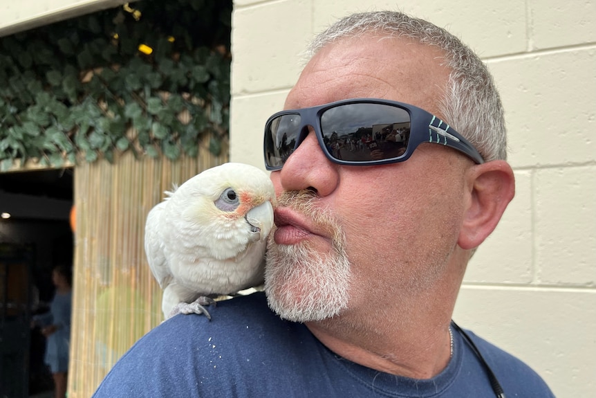 A white parrot sits on a shoulder and receives a kiss from a man in sunglasses