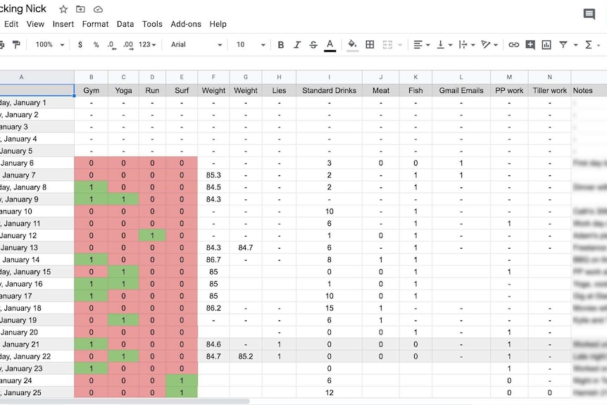 A screenshot of Nick Hallam's self-tracking spreadsheet with details like how many standard drinks and how many times he's lied.