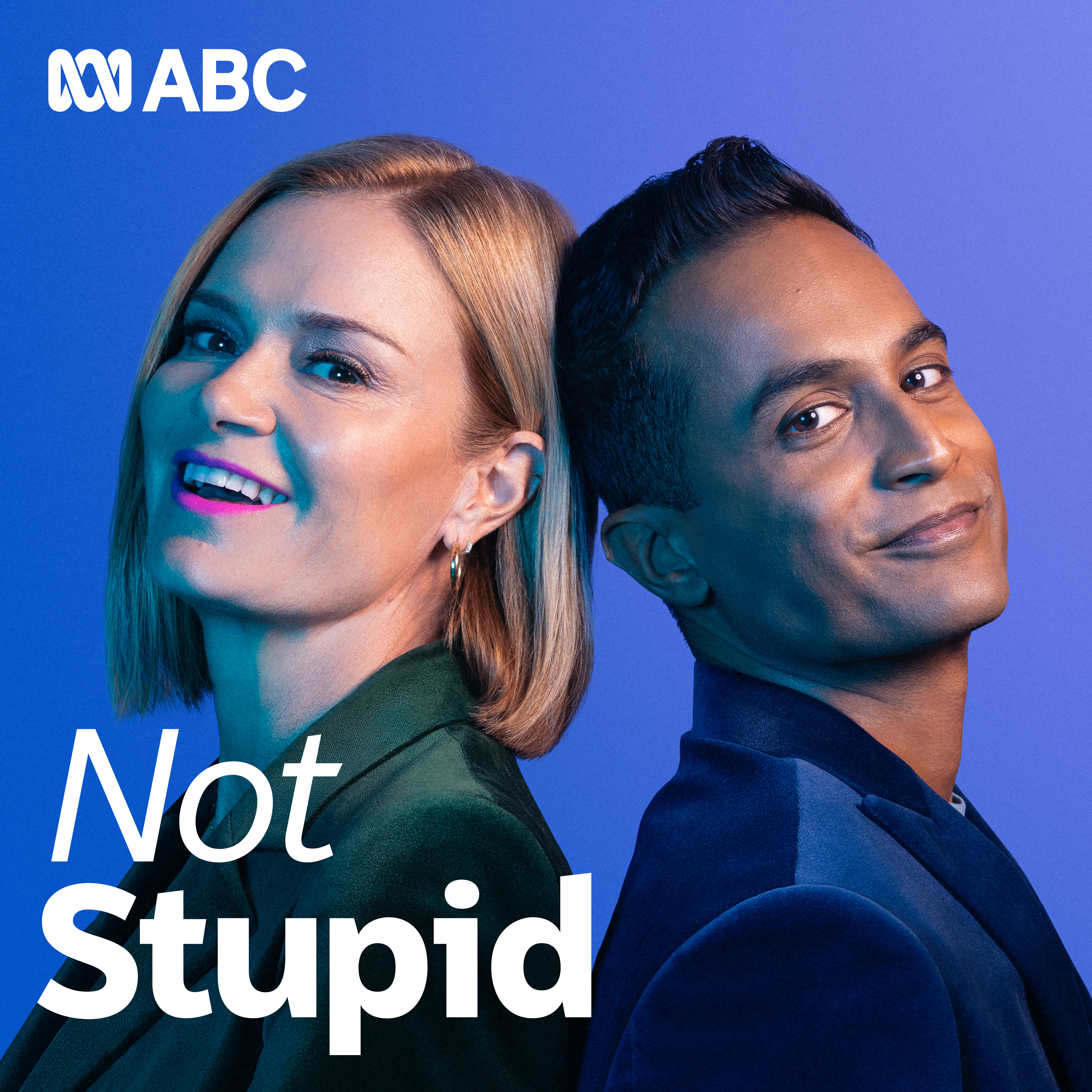 Not Stupid cover
