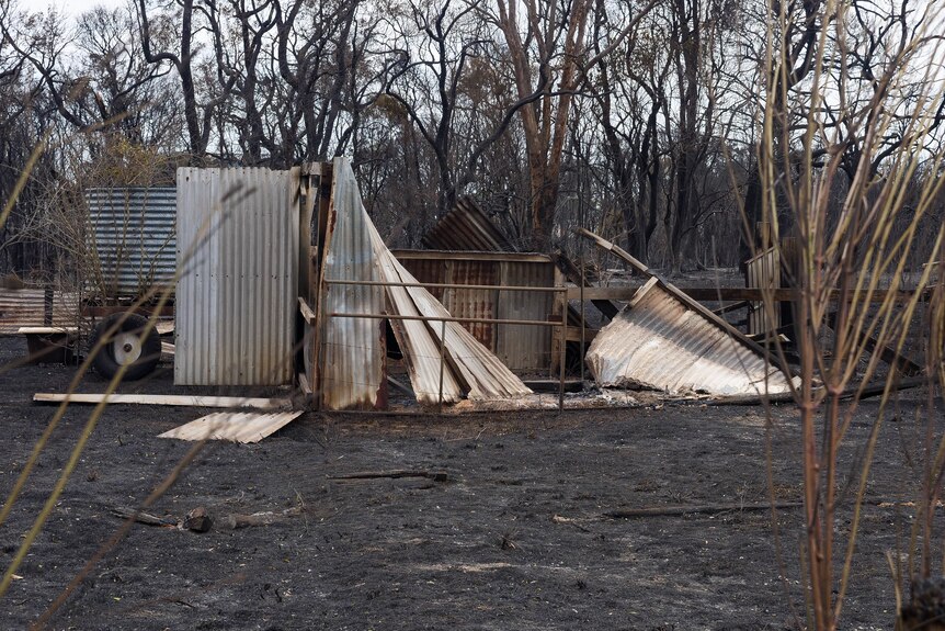 Un cobertizo para caballos derrumbado y destruido por un incendio forestal