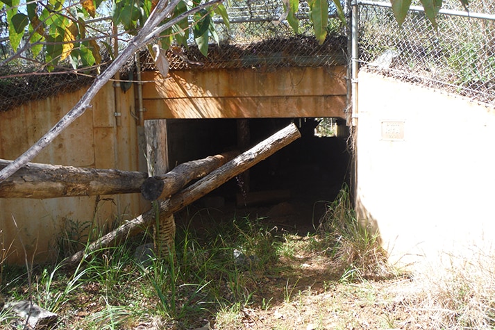 A road underpass with trees in the background.