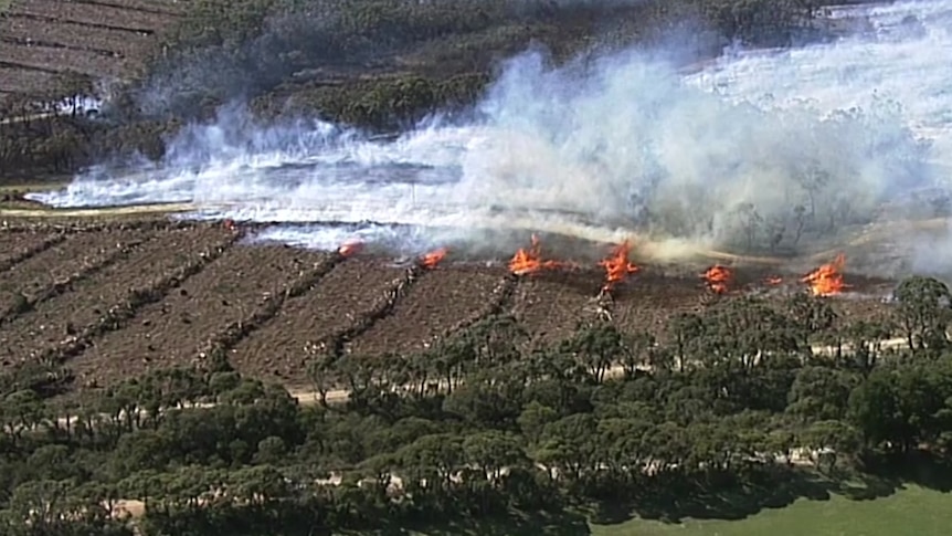 Smoke and flames on burning logs 