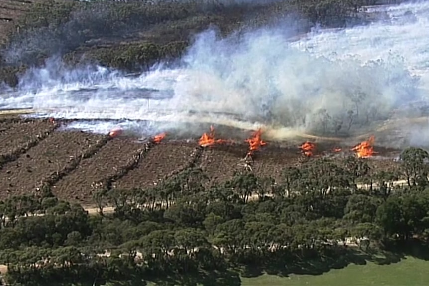 Smoke and flames on burning logs 