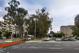 Artist's impression showing a dedicated bus lane carved out of the Northbourne Avenue median