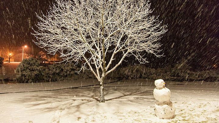 Snowman in Stanthorpe