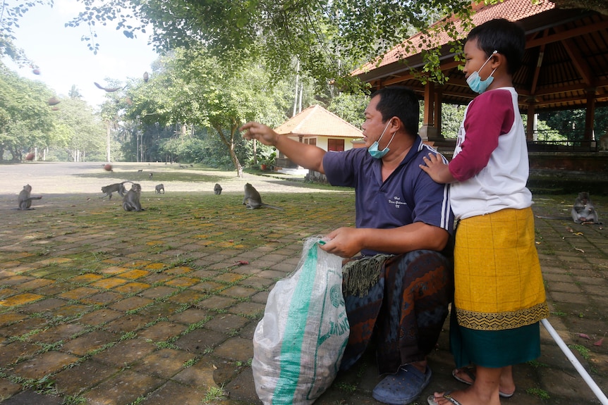 A man and his son feed macaques out of a bag