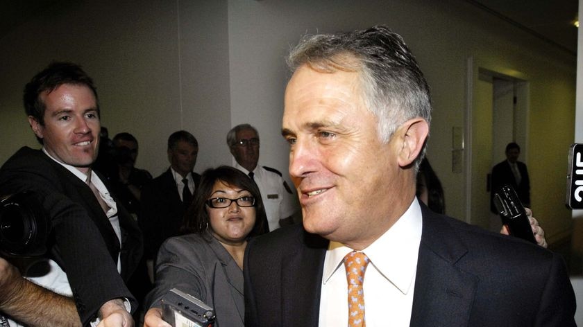 Malcolm Turnbull has accused the Treasurer of being almost schizophrenic in his comments. (File photo)