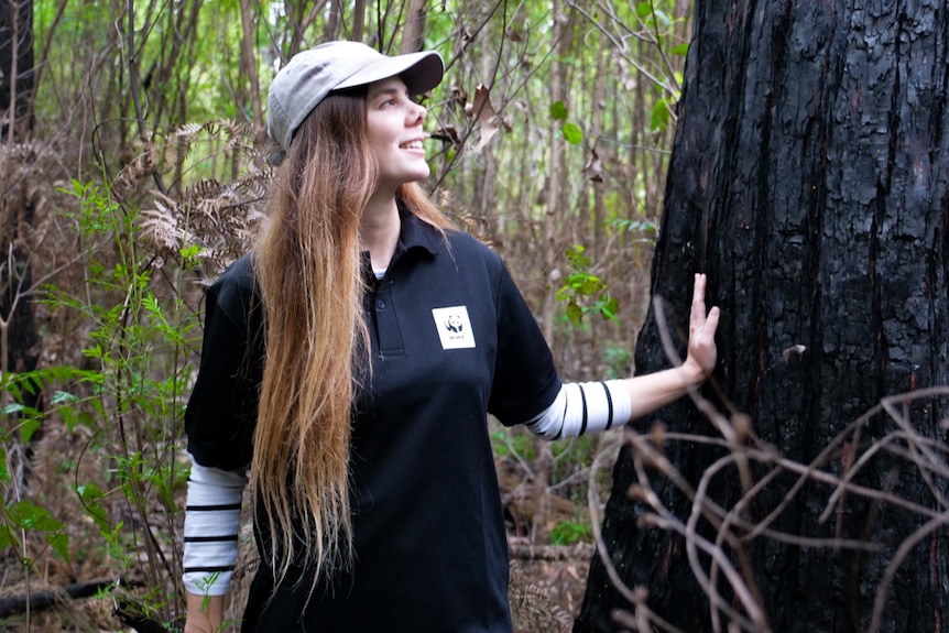 a woman looking at a blackened tree in the bush