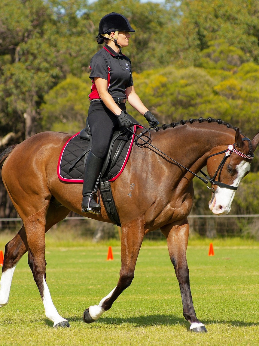 Sharon Joyce rides Scenic Blast