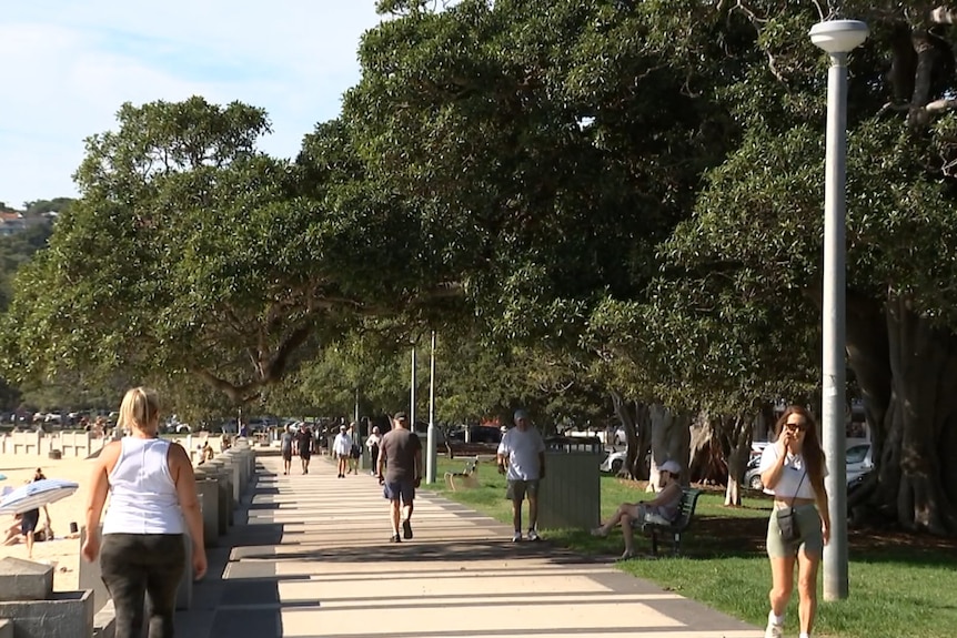 A wide shot of the tree-lined path along Balmoral Beach.